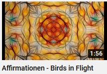Affirmationen mit youtibe song birds in flight, HERZTOR