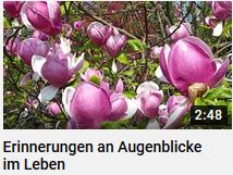 Erinnerungen an Augenblicke im Leben, youtube HERZTOR-Film
