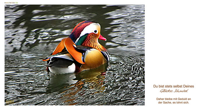 1 Du bist stets selbst Deines Glückes Schmied! Daher bleibe mit Geduld an der Sache, es lohnt sich.