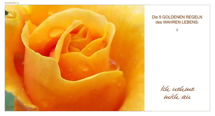 Die GOLDENEN REGELN, 2 ICH NEHME MICH AN 