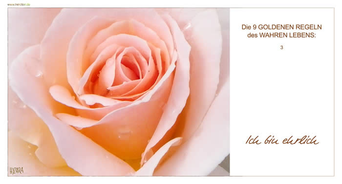 Dritte GOLDENE REGEL, 3 ICH BIN EHRLICH 