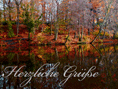 Herbstwald bunt leuchtend spiegelt sich im stillen Wasser, Herzliche Grüße