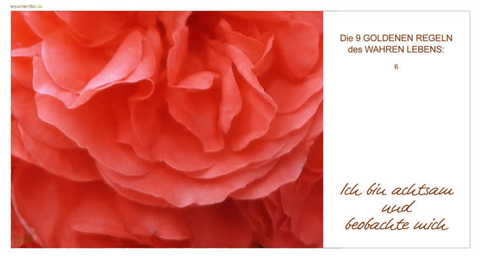 Die GOLGENEN REGELN - 6 ICH BIN ACHTSAM UND BEOBACHTE MICH