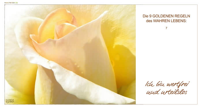 Die GOLDENEN REGELN, ICH BIN WERTFREI UND URTEILSLOS 7