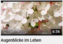 Augenblicke im Leben von HERZTOR - Ein weiterer youtube Film