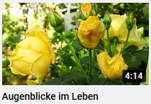 Augenblicke im Leben von HERZTOR, youtube link