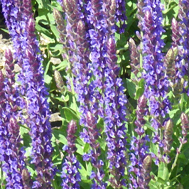 LICHT UND LIEBE ZAUBER des Lavendel EINFACH IN DIE LIEBE FÜHLEN UND SCHNUPPERN HYZARA BLÜTENZAUBER