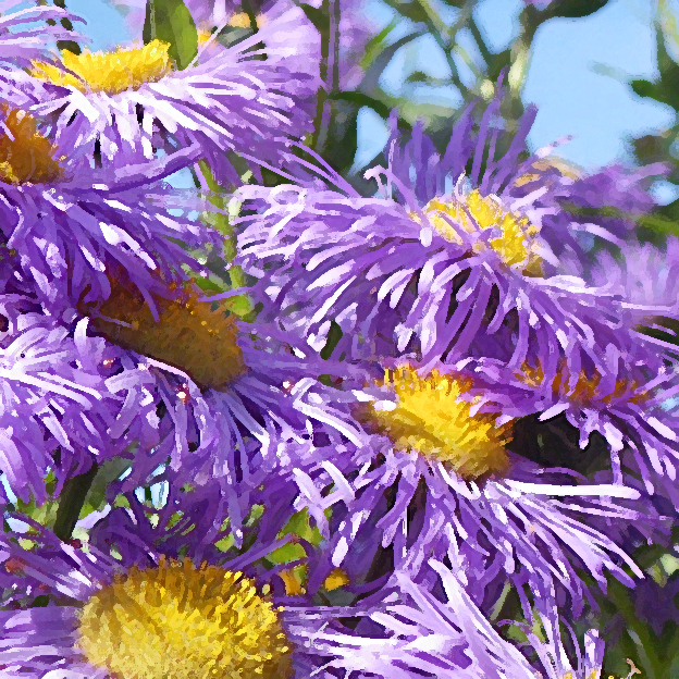 LICHT UND LIEBE ZART VIOLETT DER STRAHLENDEN SONNE HERZ HYZARA BLÜTENZAUBER