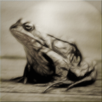 Der kleine Frosch