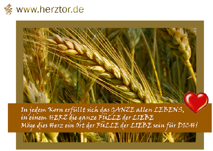 LICHT und LIEBE In jedem Korn erfüllt sich das GANZE ALLEN LEBENS in einem HERZ die ganze FÜLLE der LIEBE Möge dies HERZ ein Ort der FÜLLE der LIEBE sein für DICH HYZARA HERZGRUß