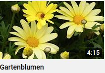 Gartenblumen Galerie Film auf youtube von HERZTOR