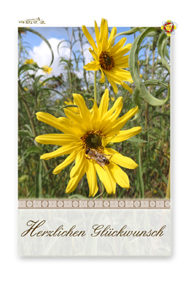 Herzlichen Glückwunsch Karten mit gelben Sommerblumen und einer Biene