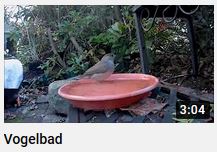 Vogelbad Video link zu youtube von HERZTOR