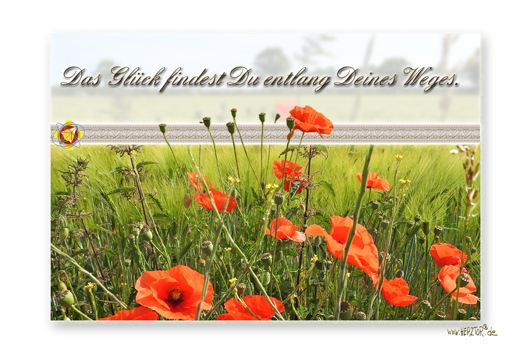 Das Glück findest Du entlang Deines Weges. (HYZARA)