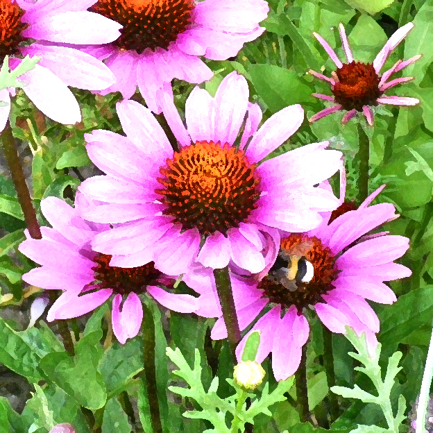 LICHT UND LIEBE BLÜTENBIENE DER FARBE ROSA HYZARA BLÜTENZAUBER