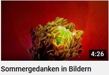 Sommergedanken in Bildern von HERZTOR als youtube Film