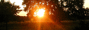 Sonnentor, untergehende Sonne am Hainberg in Stein. Bild zur Tageskarte.
