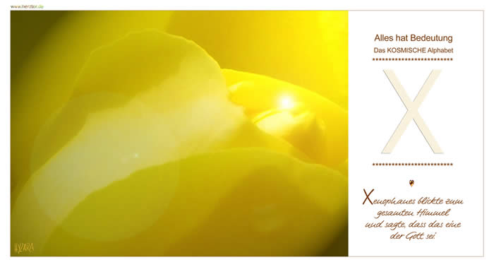 "Vielwisserei bringt noch keinen Verstand, keine Geistigkeit; ... denn der KOSMOS sei das ALL-EINE, und der Mensch erlange nur insoweit ein Verständnis seiner Selbst und der Wirklichkeit, wie er diese Gesetzmäßigkeit versteht... Xenophanes blickte zum gesamten Himmel und sagt, dass das eine der Gott sei." (Xenophanes von Kolophon, geb. um 570 v.Chr. im ionischen Kolophon, Philosoph und Dichter der griechischen Antike, Xenophanes durchkreuzte durch seine monotheistische Ansicht die biserige Annahme der Vielgötterei. (Geschichte von Griechenland, Band 2, übersetzt von Leonhard Schmitz, Adoph Marcus Verlag, Bonn, 1840) Der Buchstabe "X" Fest mit beiden Beinen steht Du auf Mutter Erde, die Arme weit geöffnet zum HIMMEL, erhebst Du Dich, das GÖTTLICHE zu empfangen. Wie ein "A" und ein "V" treffen sich die beiden Buchstaben in der MITTE, im KERN Deines SELBST, wo es sich in Deinem HERZEN VEREINT. ZEICHEN auch des gleichseitigen KREUZES, ZENTRUM Deines SEINS und SYMBOL der BEDINGUNGSLOSEN LIEBE GOTTES! Das "X" symolisiert auch den Ausdruck "CHRIST", so ist z.B. die anglo-amerikanische Bezeichnung "x-mas", für Weihnachten, dem Wort "Christtag" abgeleitet, dass im mitteldeutschen Raum im 13. Jahrhundert benutzt wurde. X - Das KOSMISCHE Alphabet