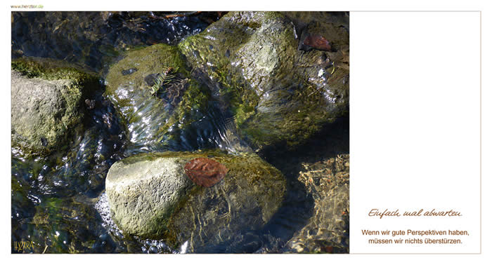 Abwarten - Einfach mal abwarten. Wenn wir gute Perspektiven haben, müssen wir nichts überstürzen.