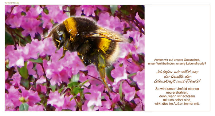 Achtsamkeit - Achten wir auf unsere Gesundheit, unser Wohlbefinden, unsere Lebensfreude? Schöpfen wir selbst aus der Quelle der Lebenskraft und Freude? So wird unser Umfeld ebenso neu erstrahlen, denn, wenn wir achtsam mit uns selbst sind, wirkt dies im Außen immer mit.