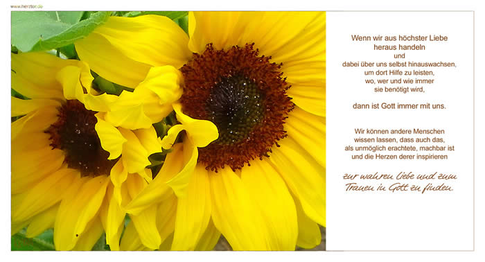 Alles ist machbar- Wenn wir aus höchster Liebe heraus handeln und dabei über uns selbst hinauswachsen, um dort Hilfe zu leisten, wo, wer und wie immer sie benötigt wird, dann ist Gott immer mit uns. Wir können andere Menschen wissen lassen, dass auch das, als unmöglich erachtete, machbar ist und die Herzen derer inspirieren zur wahren Liebe und zum Trauen in Gott zu finden