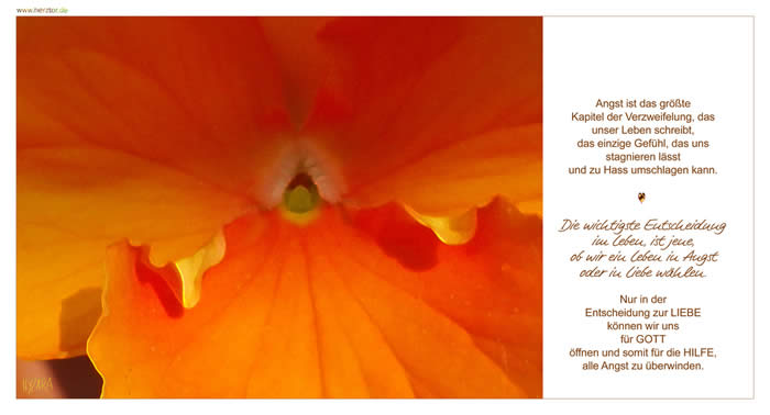 Angst ist das größte Kapitel der Verzweifelung, das unser Leben schreibt, das einzige Gefühl, das uns stagnieren lässt und zu Hass umschlagen kann. Die wichtigste Entscheidung im Leben, ist jene, ob wir ein Leben in Angst oder in Liebe wählen. Nur in der Entscheidung zur LIEBE können wir uns für GOTT öffnen und somit für die HILFE, alle Angst zu überwinden. Angst