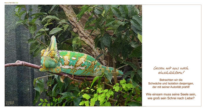 Autorität -  Lassen wir uns noch einschüchtern? Betrachten wir die Schwäche und Isolation desjenigen, der mit seiner Autorität prahlt! Wie einsam muss seine Seele sein, wie groß sein Schrei nach Liebe?