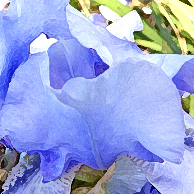 LICHT UND LIEBE Im Himmels BLÜHTEN BLAU getaucht sind die BLÄTTER der BLUMEN in dem zarten Pastell der MEERE WEITE sich spiegelnd im ZELT der LIEBE HYZARA BLÜTENZAUBER