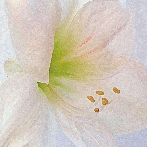 LICHT UND LIEBE Blütenkegel HINEINZUTAUCHEN in die WEISHEIT des LICHTS und der LIEBE HYZARA BLÜTENZAUBER