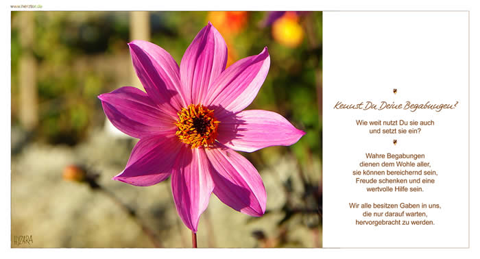 Kennst Du Deine Begabungen? Wie weit nutzt Du sie auch und setzt sie ein? Wahre Begabungen dienen dem Wohle aller, sie können bereichernd sein, Freude schenken und eine wertvolle Hilfe sein. Wir alle besitzen Gaben in uns, die nur darauf warten, hervorgebracht zu werden. Begabungen