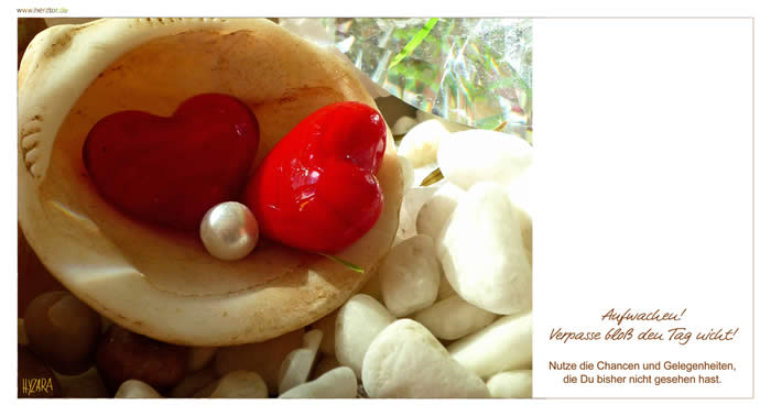 Aufwachen - Aufwachen! Verpasse bloß den Tag nicht! Nutze die Chancen und Gelegenheiten, die Du bisher nicht gesehen hast.