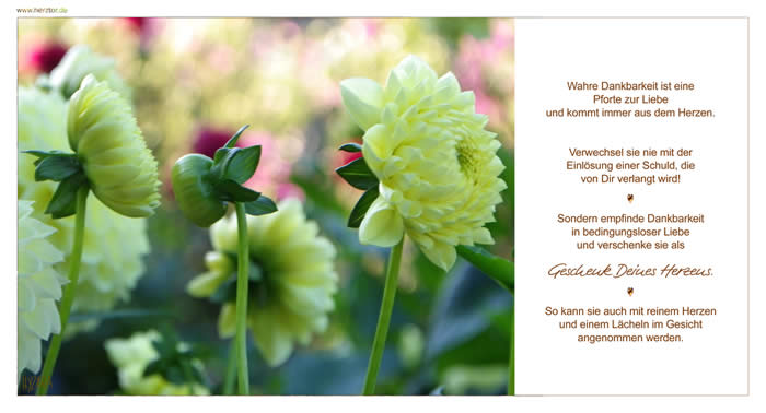 Wahre Dankbarkeit ist eine Pforte zur Liebe und kommt immer aus dem Herzen. Verwechsel sie nie mit der Einlösung einer Schuld, die von Dir verlangt wird! Sondern empfinde Dankbarkeit in bedingungsloser Liebe und verschenke sie als Geschenk Deines Herzens. So kann sie auch mit reinem Herzen und einem Lächeln im Gesicht angenommen werden. Dankbarkeit