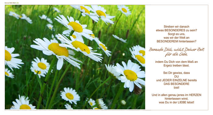 Das Besondere - Streben wir danach etwas BESONDERES zu sein? Sorgt es uns, was wir der Welt an BESONDEREM hinterlassen? Beraube Dich nicht Deiner Zeit für die Liebe, indem Du Dich von dem Maß an Ergeiz treiben lässt. Sei Dir gewiss, dass DU und JEDER EINZELNE bereits DAS BESONDERE bist! Und in allen genau jenes im HERZEN hinterlassen wirst, was Du in der LIEBE lebst!