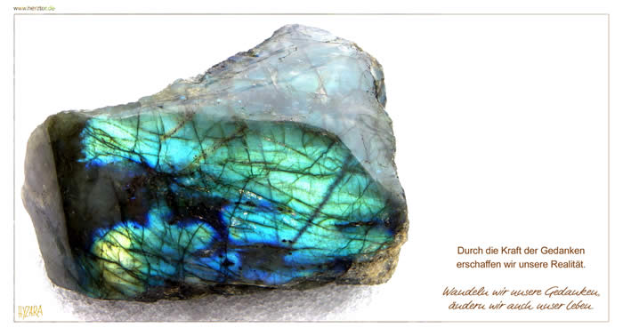 Der BEGINN - Durch die Kraft der Gedanken erschaffen wir unsere Realität. Wandeln wir unsere Gedanken, ändern wir auch unser Leben.