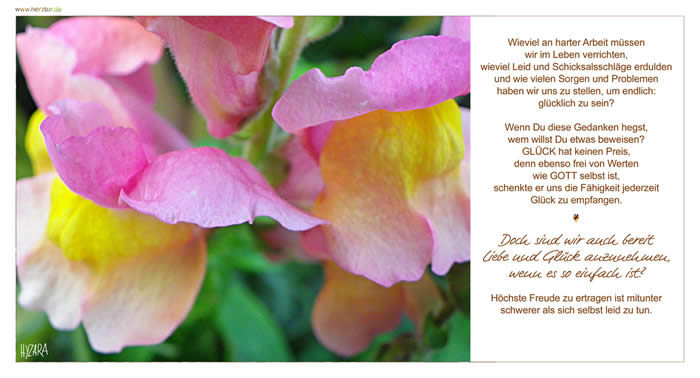 Wieviel an harter Arbeit müssen wir im Leben verrichten, wieviel Leid und Schicksalsschläge erdulden und wie vielen Sorgen und Problemen haben wir uns zu stellen, um endlich: glücklich zu sein? Wenn Du diese Gedanken hegst, wem willst Du etwas beweisen? GLÜCK hat keinen Preis, denn ebenso frei von Werten wie GOTT selbst ist, schenkte er uns die Fähigkeit jederzeit Glück zu empfangen. Doch sind wir auch bereit Liebe und Glück anzunehmen, wenn es so einfach ist? Höchste Freude zu ertragen ist mitunter schwerer als sich selbst leid zu tun. Der Preis des Glücks