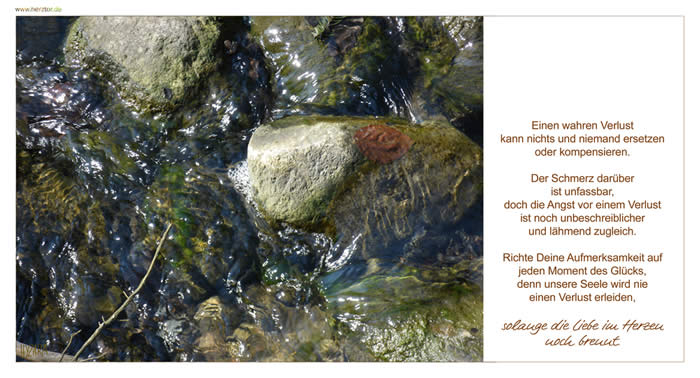 Der Verlust -  Einen wahren Verlust kann nichts und niemand ersetzen oder kompensieren. Der Schmerz darüber ist unfassbar, doch die Angst vor einem Verlust ist noch unbeschreiblicher und lähmend zugleich. Richte Deine Aufmerksamkeit auf jeden Moment des Glücks, denn unsere Seele wird nie einen Verlust erleiden, solange die Liebe im Herzen noch brennt.