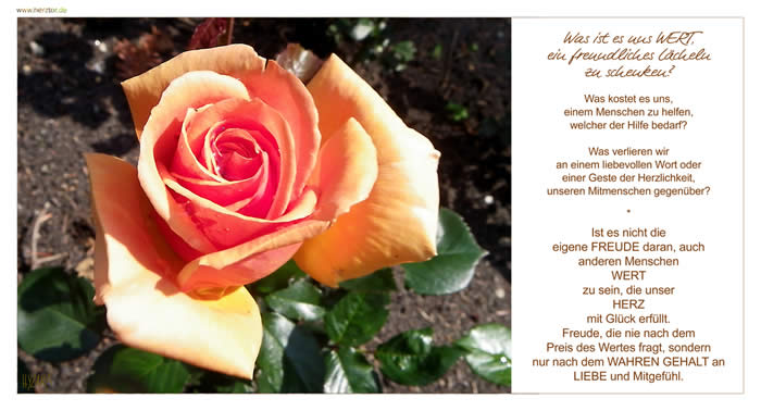 Der Wert der Liebe  - Was ist es uns WERT, ein freundliches Lächeln zu schenken? Was kostet es uns, einem Menschen zu helfen, welcher der Hilfe bedarf? Was verlieren wir an einem liebevollen Wort oder einer Geste der Herzlichkeit, unseren Mitmenschen gegenüber? Ist es nicht die eigene FREUDE daran, auch anderen Menschen WERT zu sein, die unser HERZ mit Glück erfüllt. Freude, die nie nach dem Preis des Wertes fragt, sondern nur nach dem WAHREN GEHALT an LIEBE und Mitgefühl.
