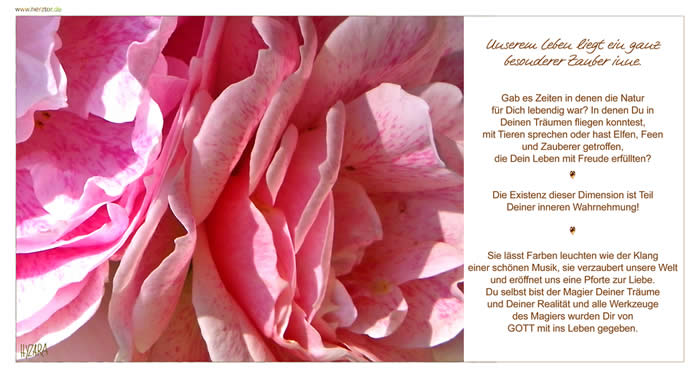 Unserem Leben liegt ein ganz besonderer Zauber inne. Gab es Zeiten in denen die Natur für Dich lebendig war? In denen Du in Deinen Träumen fliegen konntest, mit Tieren sprechen oder hast Elfen, Feen und Zauberer getroffen, die Dein Leben mit Freude erfüllten? Die Existenz dieser Dimension ist Teil Deiner inneren Wahrnehmung! Sie lässt Farben leuchten wie der Klang einer schönen Musik, sie verzaubert unsere Welt und eröffnet uns eine Pforte zur Liebe. Du selbst bist der Magier Deiner Träume und Deiner Realität und alle Werkzeuge des Magiers wurden Dir von GOTT mit ins Leben gegeben. Der Zauber des Lebens