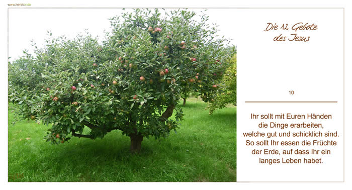 DIE 12 GEBOTE DES JESUS - Ihr sollt mit Euren Händen die Dinge erarbeiten, welche gut und schicklich sind. So sollt Ihr essen die Früchte der Erde, auf dass Ihr ein langes Leben habet.