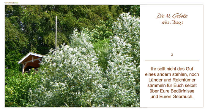 DIE 12 GEBOTE DES JESUS -"Ihr sollt nicht das Gut eines andern stehlen, noch Länder und Reichtümer  sammeln für Euch selbst über Eure Bedürfnisse und Euren Gebrauch."