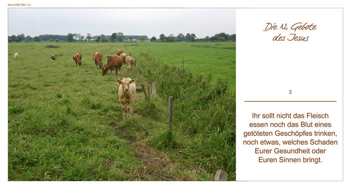 DIE 12 GEBOTE DES JESUS - Ihr sollt nicht das Fleisch essen noch das Blut eines getöteten Geschöpfes trinken, noch etwas, welches Schaden Eurer Gesundheit oder Euren Sinnen bringt.