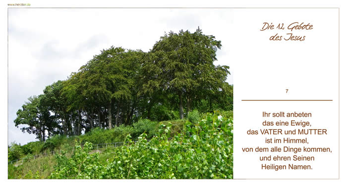 DIE 12 GEBOTE DES JESUS -  Ihr sollt anbeten das eine Ewige, das VATER und MUTTER ist im Himmel, von dem alle Dinge kommen, und ehren Seinen Heiligen Namen.
