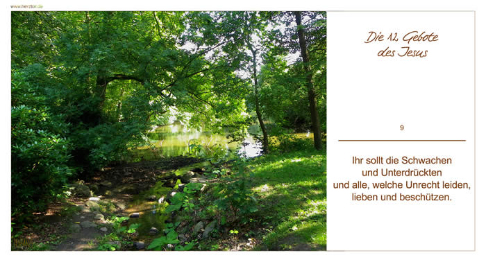 DIE 12 GEBOTE DES JESUS - Ihr sollt die Schwachen und Unterdrückten und alle, welche Unrecht leiden, lieben und beschützen.
