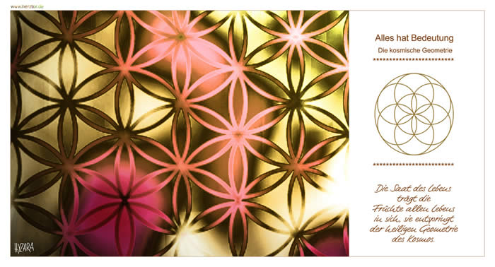 Die Saat des Lebens trägt die Früchte allen Lebens in sich, sie entspringt der heiligen Geometrie des Kosmos. Die Abbildung zeigt die sogenannte "Blume des Lebens" auch genannt "Die Saat des Lebens" oder "Die heilige Geometrie". Wer sich die Frage stellt, wie das Leben, ja das Universum selbst funktioniert, wird - auf welche Weise auch immer - auf diese Struktur stoßen. Die "Blume des Lebens" findet ihren Ursprung in der "MERKABA des Raums" (siehe auch hier) und ist eine Struktur, die aus einer unendlichen Anzahl von Kreisen besteht, deren Mittelpunkte jeweils auf den Kreislinen der sechs umgebenden Kreise liegen. Die "Blume des Lebens" ist die geometrische Grundform der Schöpfung, auf die alles Leben aufbaut und somit ein Portal zur Akasha-Chronik, dem energetischen Wissen, in dem dem alles Geschehen im Universum gespeichert wird. Die sieben Kreise im Zentrum der Blume des Lebens (rechts abgebildet) bilden die sogenannte "Saat des Lebens". Allein aus der "Saat des Lebens" können wir auch alle Zahlen, die wir in unserem Sprachsystem benutzen ableiten, wie ich in folgenden Serie über die "Bedeutung der Zahlen" darstellen werde. Die BLUME des LEBENS