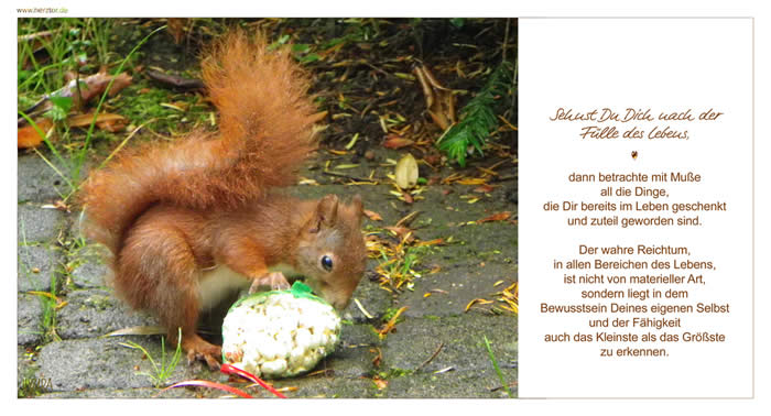 Sehnst Du Dich nach der Fülle des Lebens, dann betrachte mit Muße all die Dinge, die Dir bereits im Leben geschenkt und zuteil geworden sind. Der wahre Reichtum, in allen Bereichen des Lebens, ist nicht von materieller Art, sondern liegt in dem Bewusstsein Deines eigenen Selbst und der Fähigkeit auch das Kleinste als das Größste zu erkennen. Die Fülle