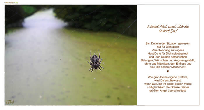 Die größte Angst, Wieviel Mut und Stärke besitzt Du? Bist Du je in der Situation gewesen, nur für Dich allein Verantwortung zu tragen? Hast Du je für Dich selbst gelebt und Dich Deinen persönlichen Belangen, Wünschen und Ängsten gestellt, ohne das Mitwirken, den Einfluss und die Hilfe anderer Menschen? Wie groß Deine eigene Kraft ist, wird Dir erst bewusst, wenn Du Dich Ihr selbst stellen musst und gleichsam die Grenze Deiner größten Angst überschreitest. Die größte Angst