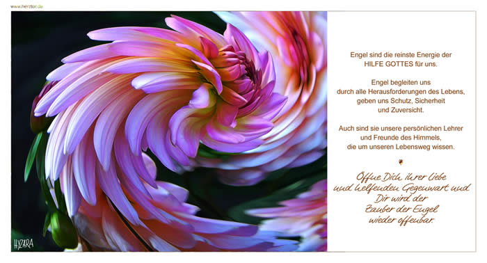 Die Hilfe des Himmels, Engel sind die reinste Energie der HILFE GOTTES für uns. Engel begleiten uns durch alle Herausforderungen des Lebens, geben uns Schutz, Sicherheit und Zuversicht. Auch sind sie unsere persönlichen Lehrer und Freunde des Himmels, die um unseren Lebensweg wissen. Öffne Dich ihrer Liebe und helfenden Gegenwart und Dir wird der Zauber der Engel wieder offenbar. Die Hilfe des Himmels