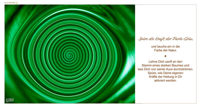 Die KRAFT der FARBEN - WEGE zur MEDITATION, Spüre die Kraft der Farbe Grün und tauche ein in die Farbe der Natur. Lehne Dich sanft an den Stamm eines starken Baumes und lass Dich von seiner Aura durchströmen. Spüre, wie Deine eigenen Kräfte der Heilung in Dir aktiviert werden. Die Kraft der Farbe GRÜN