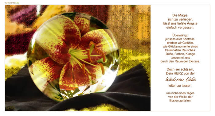 Die Magie des Verliebens- Die Magie, sich zu verlieben, lässt uns tiefste Ängste einfach vergessen. Überwältigt, jenseits aller Kontrolle, erleben wir Gefühle, wie Glücksmomente eines traumhaften Rausches. Düfte, Farben, Klängetanzen mit uns durch den Raum der Ekstase. Doch sei achtsam, Dein HERZ von der Wahren Liebe leiten zu lassen, um nicht eines Tages von der Wolke der Illusion zu fallen.