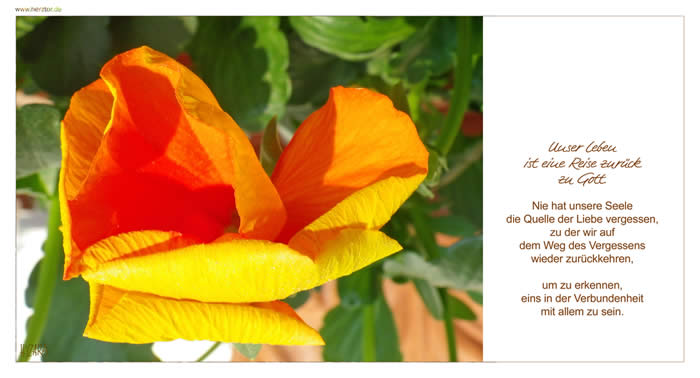 Die Quelle der Liebe -  Unser Leben ist eine Reise zurück zu Gott. Nie hat unsere Seele die Quelle der Liebe vergessen, zu der wir auf dem Weg des Vergessens wieder zurückkehren, um zu erkennen, eins in der Verbundenheit mit allem zu sein